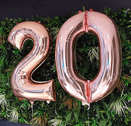 DVT celebrates 20-year anniversary