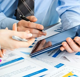 Role of the Business Analyst