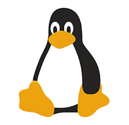How to write your first Linux Kernel Module