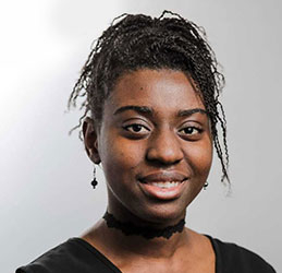 Working on a Team Project: Teamwork makes the Dream work